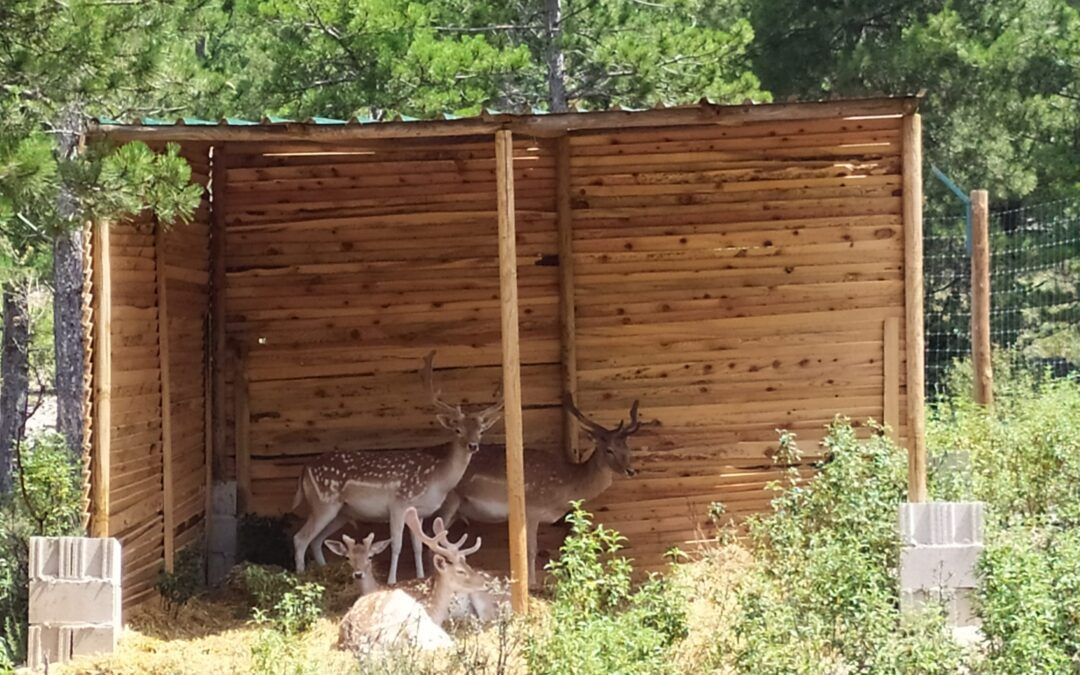 Parque Faunístico La Maleza y su safari rewilding