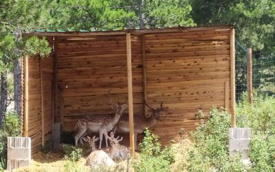 Parque Faunístico La Maleza y su safari rewilding